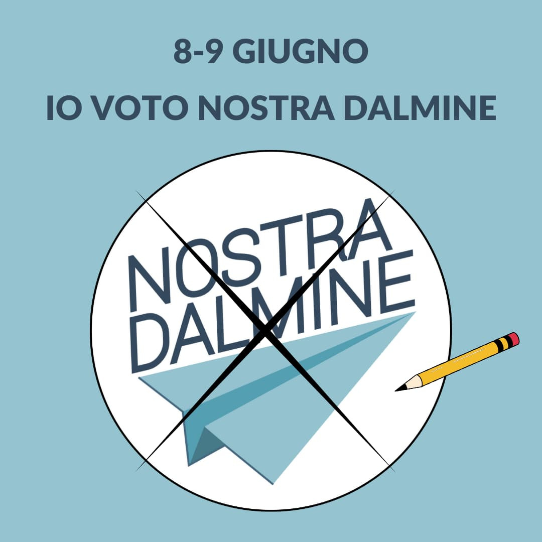 Come Votare Nostra Dalmine